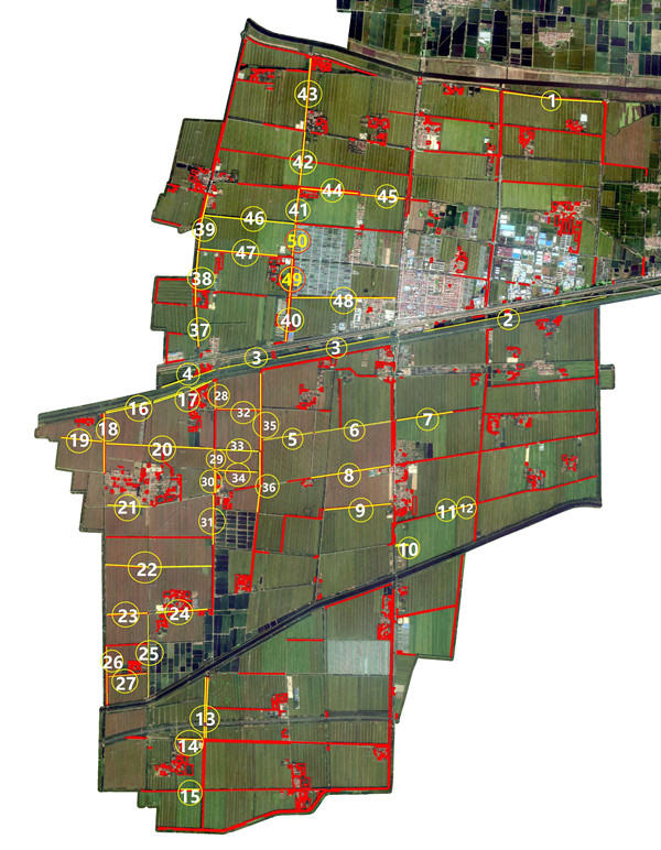 1774512893220366.jpg 零散林地分布图_副本.jpg