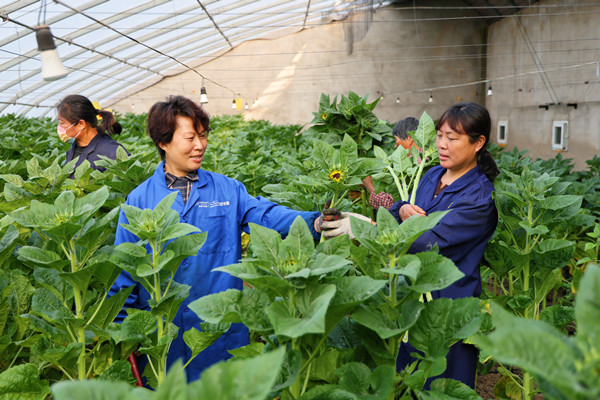 3233697FA78BEA171C7D4E16881261AC_副本.jpg