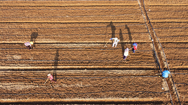 DJI_20260907072458_0672_D_副本.jpg