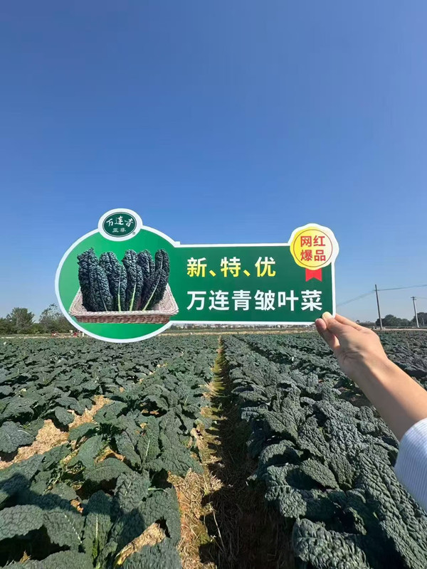 1792482541812758.jpg 6D2269C865C73EB7416B9403FB117C55_副本.jpg