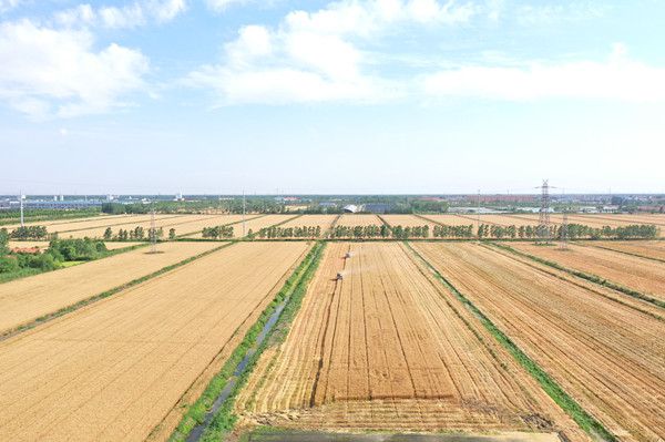 DJI_0627_副本_副本.jpg