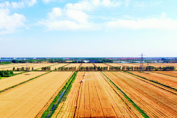 DJI_0627_副本_副本.jpg